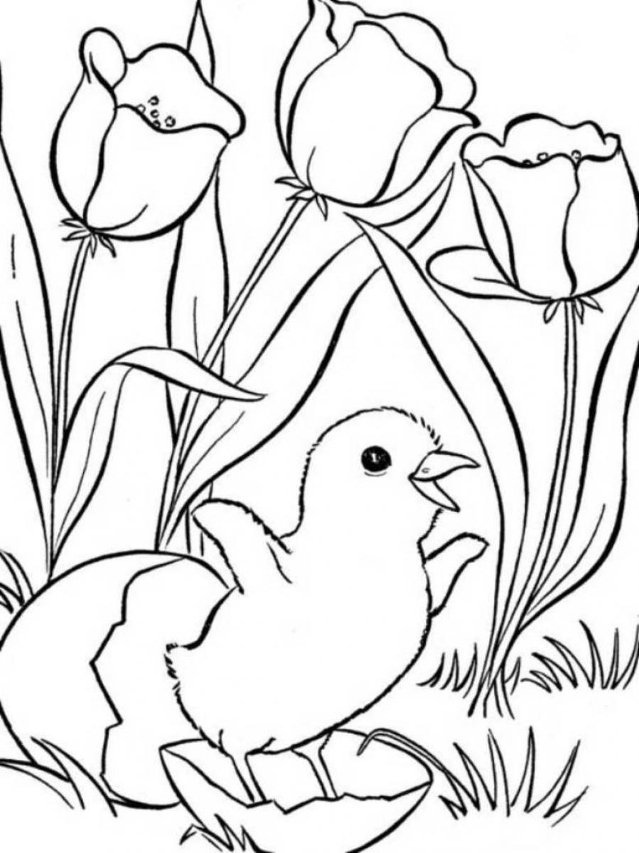 着色页: 春暖花开的季节 (自然) #164796 - 免费可打印着色页
