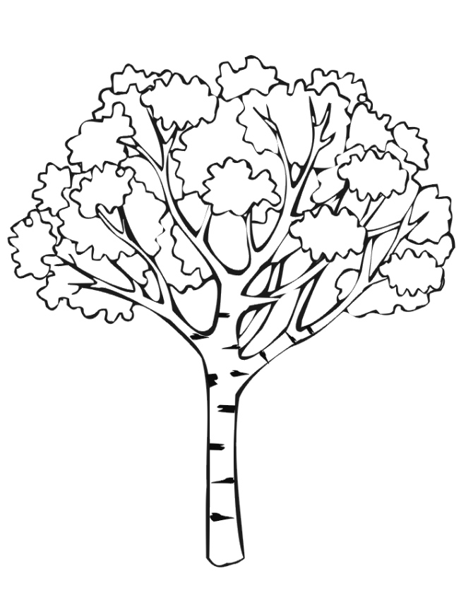 着色页: 树 (自然) #154671 - 免费可打印着色页