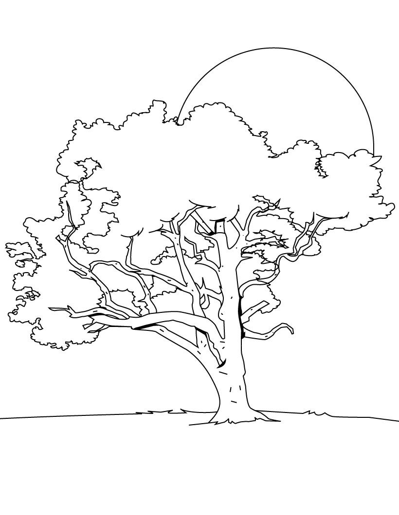着色页: 树 (自然) #154677 - 免费可打印着色页