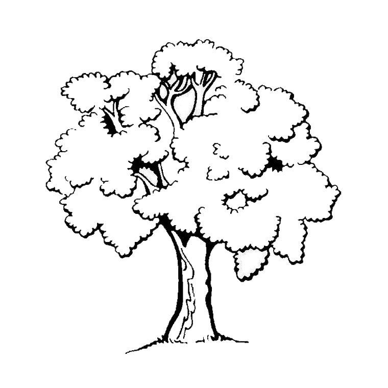 着色页: 树 (自然) #154683 - 免费可打印着色页