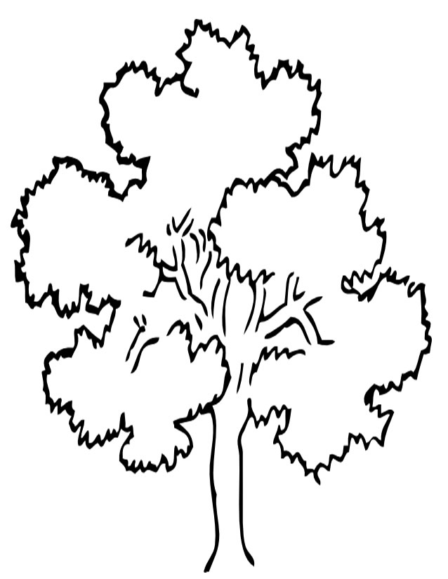 着色页: 树 (自然) #154701 - 免费可打印着色页