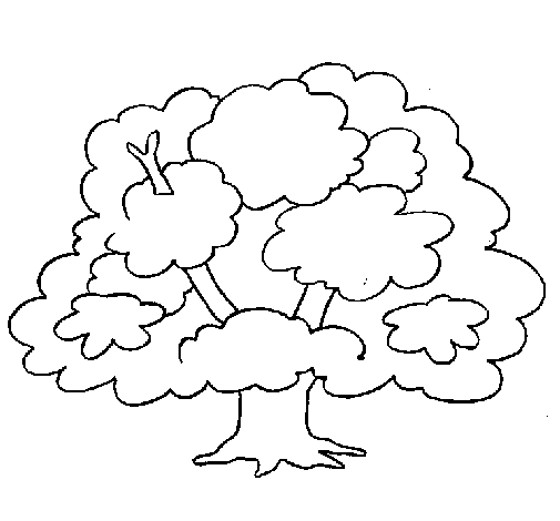 着色页: 树 (自然) #154730 - 免费可打印着色页