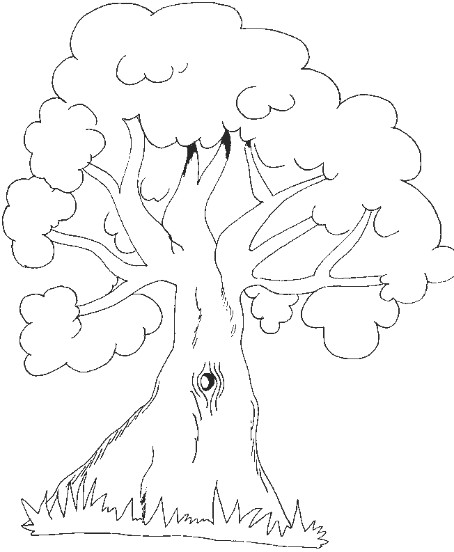 着色页: 树 (自然) #154736 - 免费可打印着色页