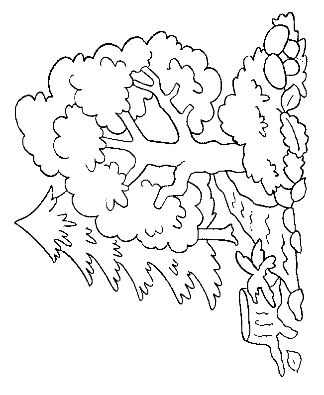 着色页: 树 (自然) #154741 - 免费可打印着色页
