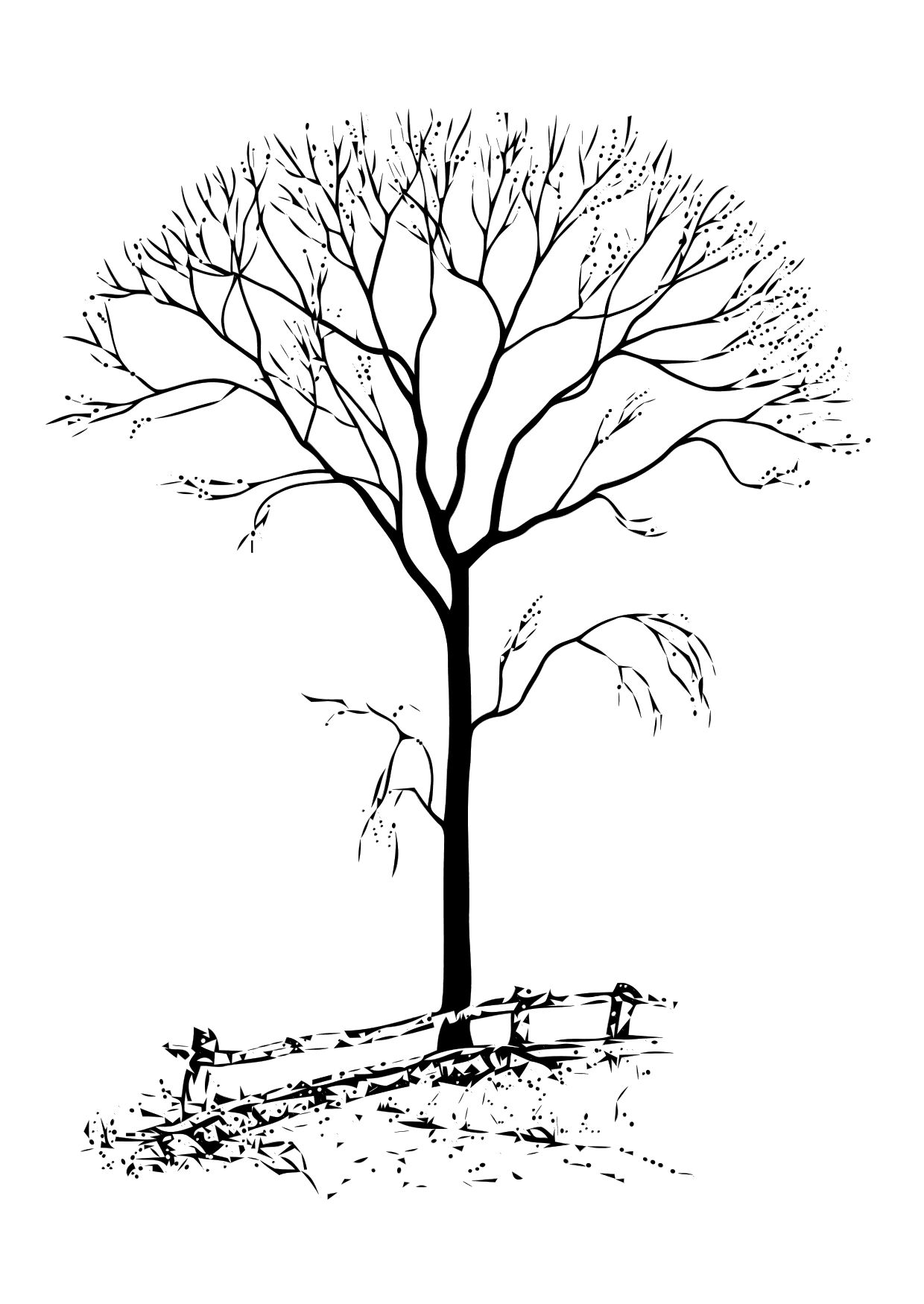 着色页: 树 (自然) #154769 - 免费可打印着色页