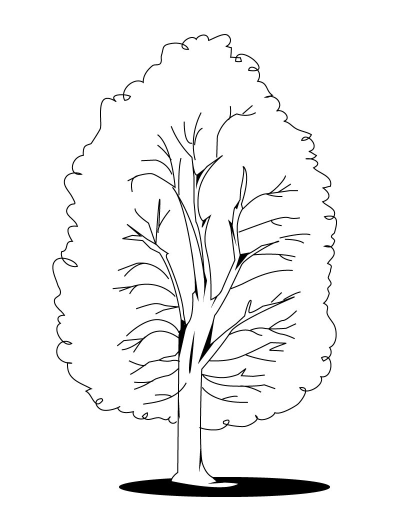 着色页: 树 (自然) #154791 - 免费可打印着色页