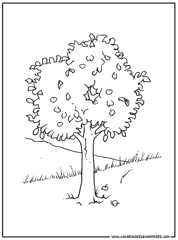 着色页: 树 (自然) #154804 - 免费可打印着色页