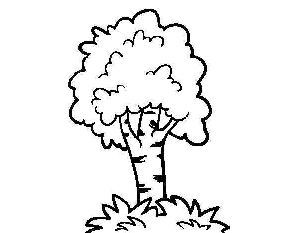 着色页: 树 (自然) #154819 - 免费可打印着色页