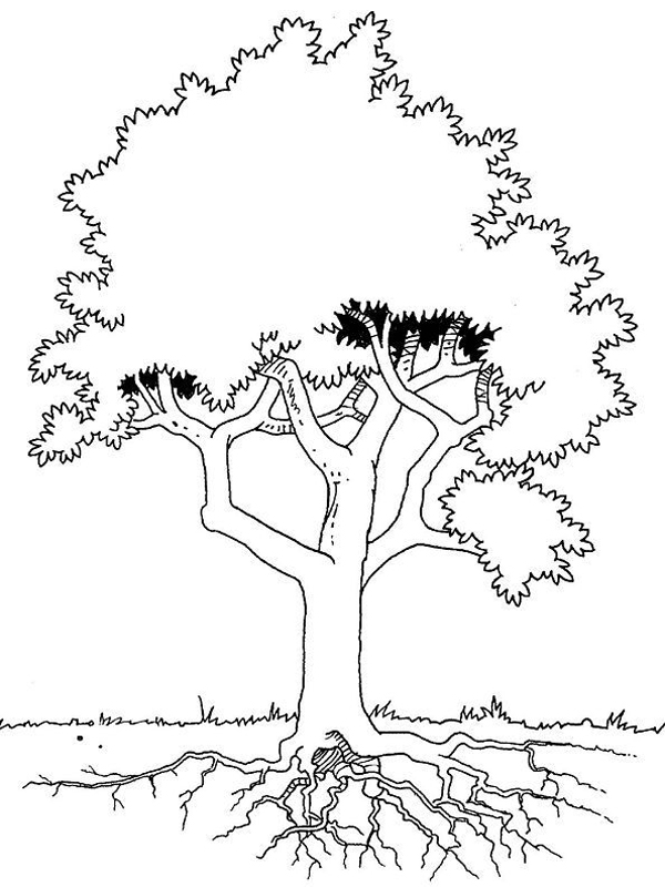 着色页: 树 (自然) #154887 - 免费可打印着色页
