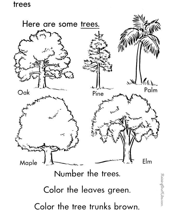 着色页: 树 (自然) #154914 - 免费可打印着色页