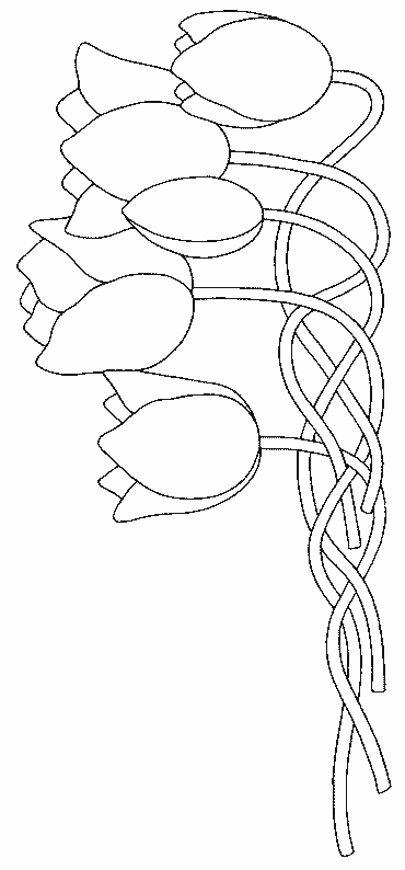 着色页: 郁金香 (自然) #161670 - 免费可打印着色页