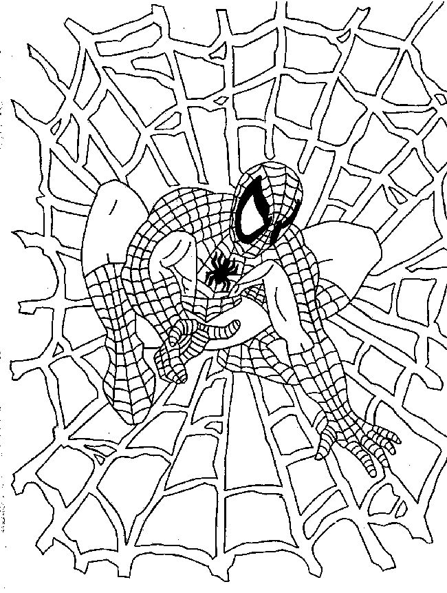 着色页: 蜘蛛侠 (超级英雄) #78641 - 免费可打印着色页