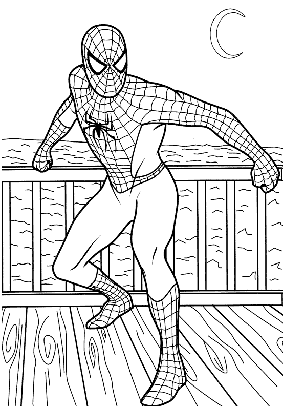 着色页: 蜘蛛侠 (超级英雄) #78643 - 免费可打印着色页