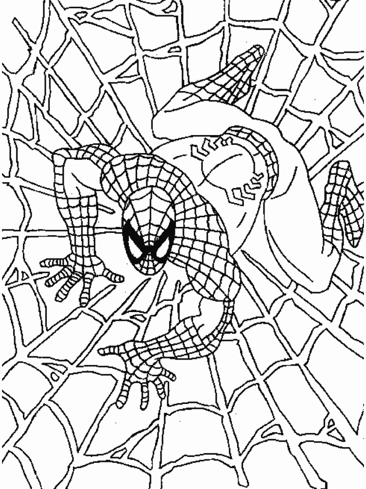 着色页: 蜘蛛侠 (超级英雄) #78644 - 免费可打印着色页