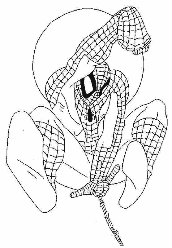 着色页: 蜘蛛侠 (超级英雄) #78678 - 免费可打印着色页