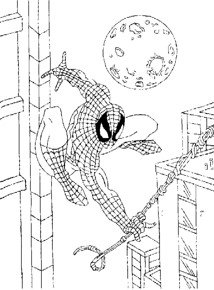 着色页: 蜘蛛侠 (超级英雄) #78711 - 免费可打印着色页