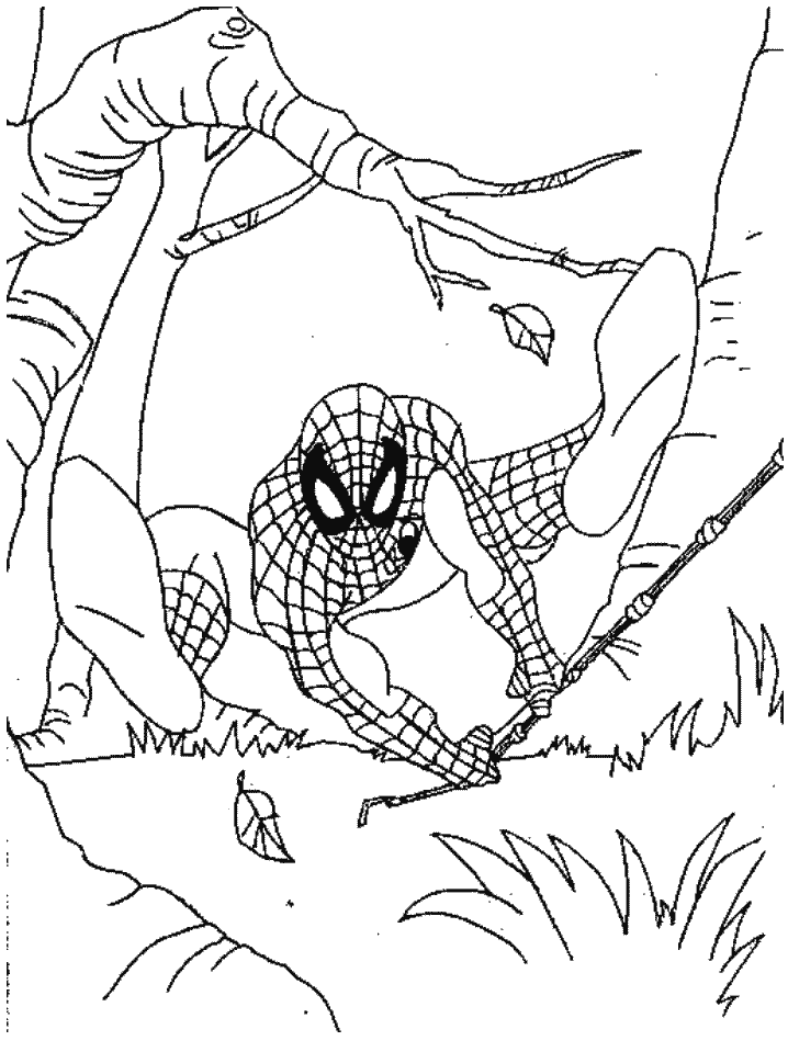 着色页: 蜘蛛侠 (超级英雄) #78750 - 免费可打印着色页