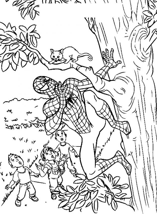着色页: 蜘蛛侠 (超级英雄) #78754 - 免费可打印着色页