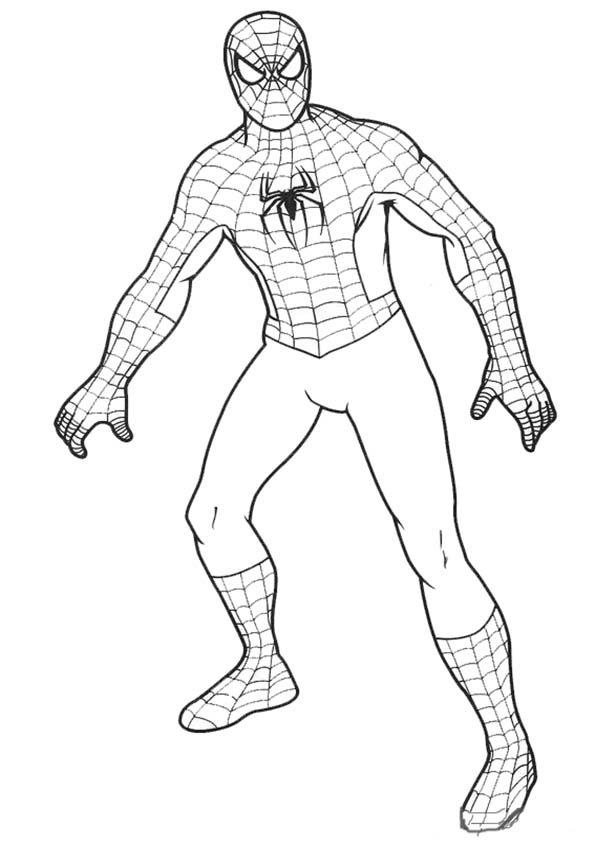 着色页: 蜘蛛侠 (超级英雄) #78772 - 免费可打印着色页