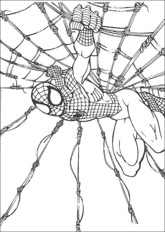 着色页: 蜘蛛侠 (超级英雄) #78793 - 免费可打印着色页