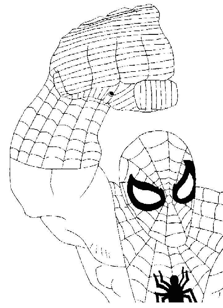 着色页: 蜘蛛侠 (超级英雄) #78956 - 免费可打印着色页