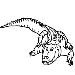 着色页: 短吻鳄 (动物) #380 - 免费可打印着色页