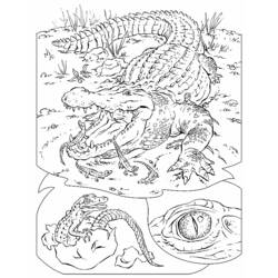 着色页: 短吻鳄 (动物) #443 - 免费可打印着色页