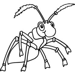 着色页: 蚂蚁 (动物) #6936 - 免费可打印着色页