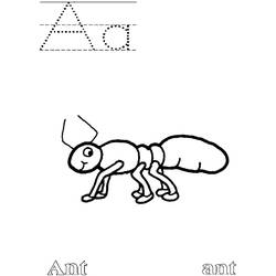 着色页: 蚂蚁 (动物) #6946 - 免费可打印着色页