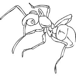 着色页: 蚂蚁 (动物) #6961 - 免费可打印着色页