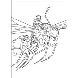 着色页: 蚂蚁 (动物) #6976 - 免费可打印着色页