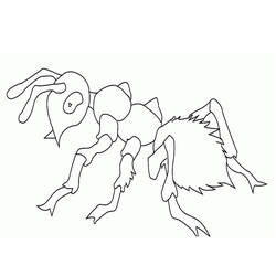 着色页: 蚂蚁 (动物) #6980 - 免费可打印着色页