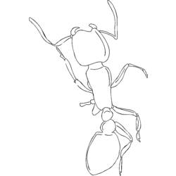 着色页: 蚂蚁 (动物) #6984 - 免费可打印着色页