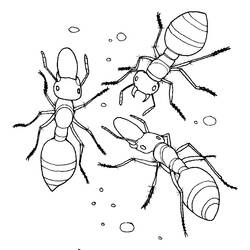 着色页: 蚂蚁 (动物) #6993 - 免费可打印着色页
