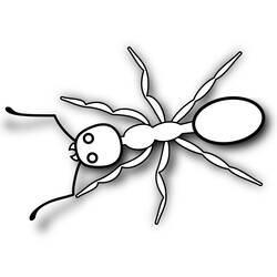 着色页: 蚂蚁 (动物) #7017 - 免费可打印着色页
