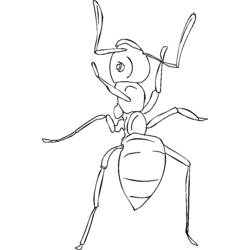 着色页: 蚂蚁 (动物) #7036 - 免费可打印着色页