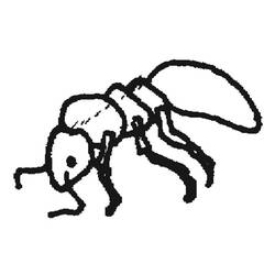 着色页: 蚂蚁 (动物) #7038 - 免费可打印着色页