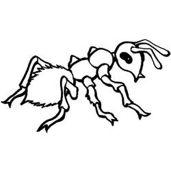 着色页: 蚂蚁 (动物) #7085 - 免费可打印着色页