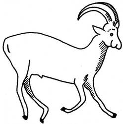 着色页: 羚羊 (动物) #22592 - 免费可打印着色页