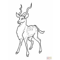 着色页: 羚羊 (动物) #22598 - 免费可打印着色页
