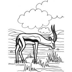 着色页: 羚羊 (动物) #22608 - 免费可打印着色页
