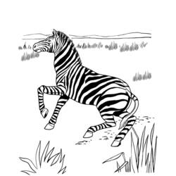 着色页: 羚羊 (动物) #22652 - 免费可打印着色页