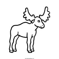 着色页: 羚羊 (动物) #22653 - 免费可打印着色页