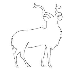 着色页: 羚羊 (动物) #22658 - 免费可打印着色页