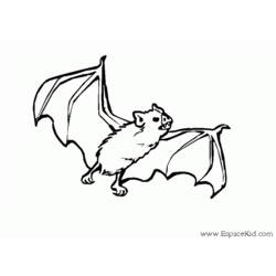 着色页: 蝙蝠 (动物) #1968 - 免费可打印着色页
