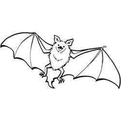 着色页: 蝙蝠 (动物) #1976 - 免费可打印着色页