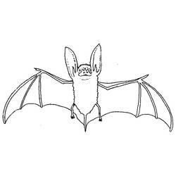 着色页: 蝙蝠 (动物) #1984 - 免费可打印着色页
