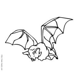 着色页: 蝙蝠 (动物) #1989 - 免费可打印着色页