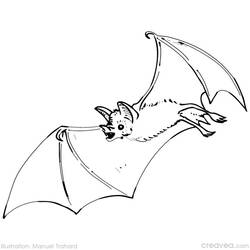 着色页: 蝙蝠 (动物) #2004 - 免费可打印着色页