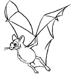 着色页: 蝙蝠 (动物) #2021 - 免费可打印着色页
